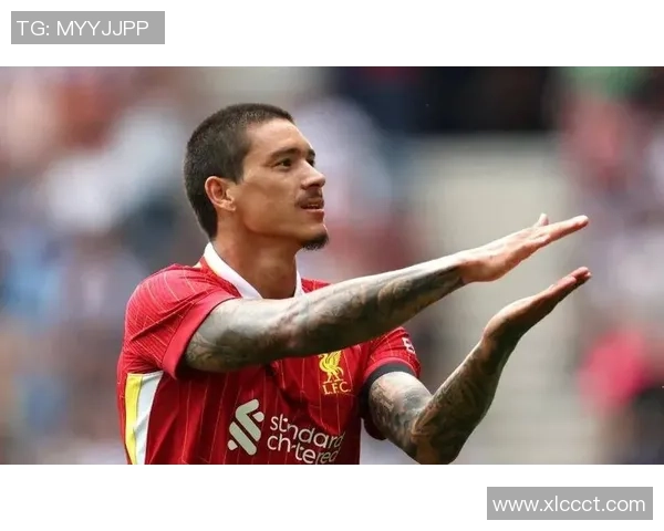 努涅斯的崛起与挑战:探索这位新星在足球世界中的影响力与未来潜力 努涅斯的崛起与挑战:探索这位新星在足球世界中的影响力与未来潜力