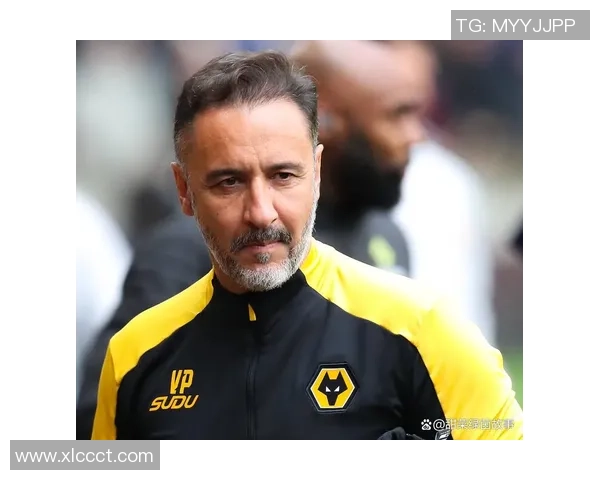 布莱顿与狼队英超对决前瞻分析及比赛预测