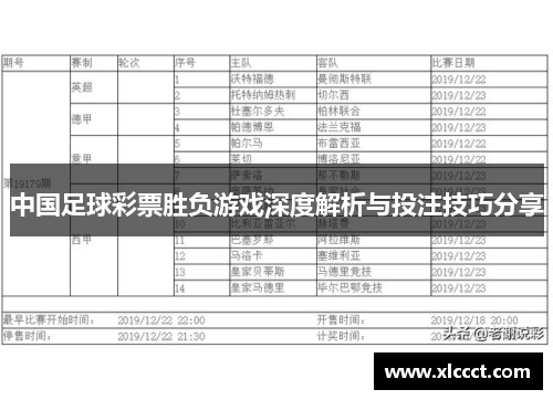 中国足球彩票胜负游戏深度解析与投注技巧分享