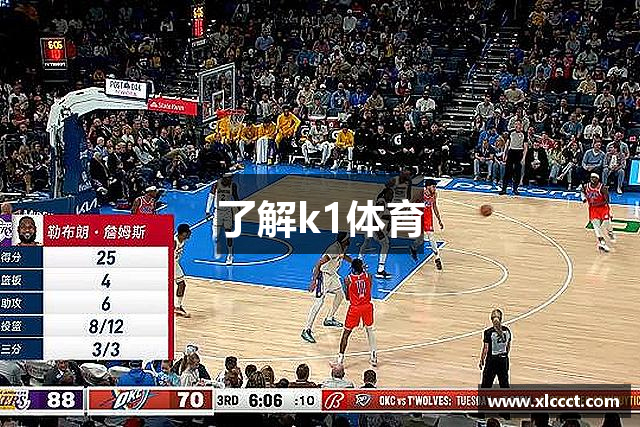 了解k1体育